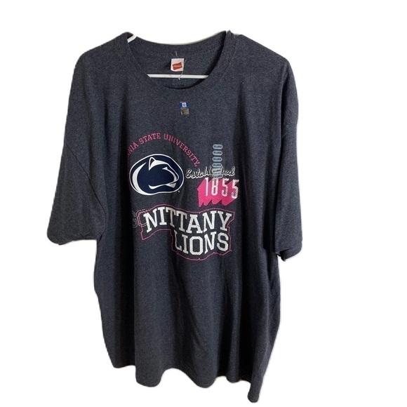 Hanes Tops - Penn State T-shirt NWT 2X Nittany Lions Women’s Gray Pink Blue Short Sleeve